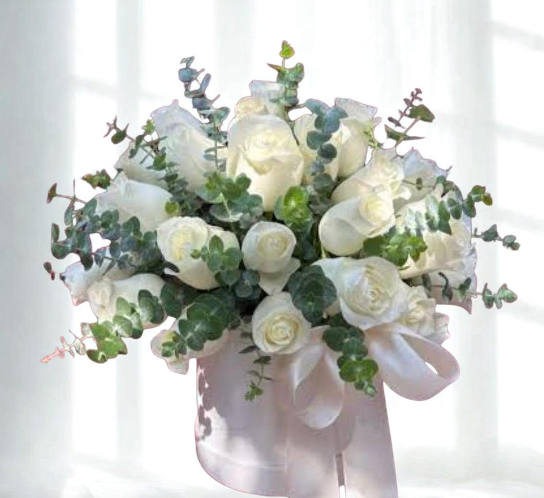 Aura Blanca